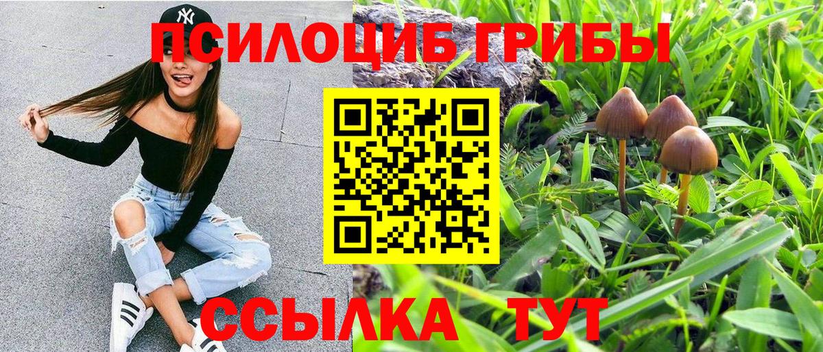 Галлюциногенные грибы мухоморы  Галлюциногенные грибы Cubensis  Тейково 