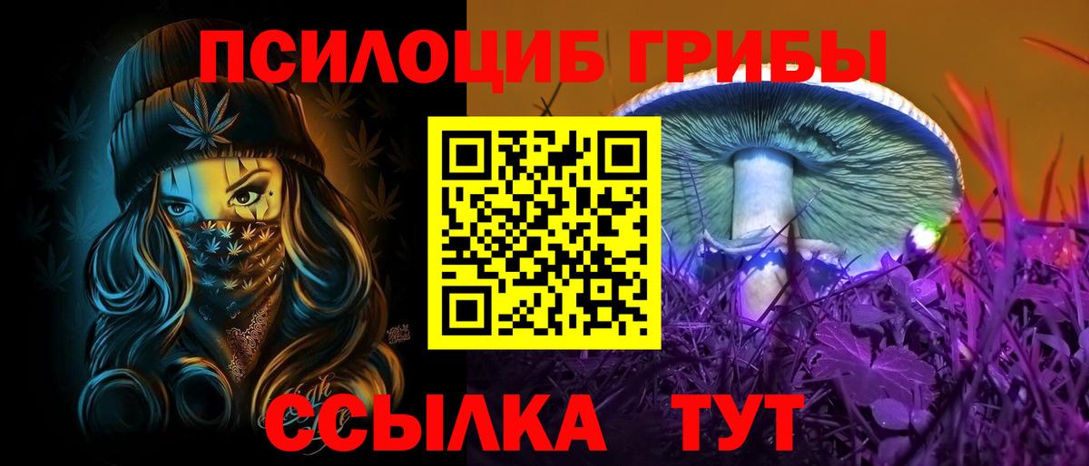 Галлюциногенные грибы Psilocybe Тейково